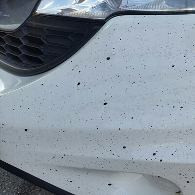 tar-before